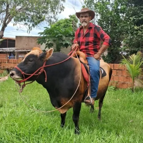 Patriota Joaozão